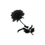 black_rose.png