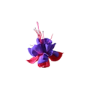 fuchsia_flower.png